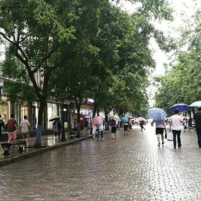 雨天的哈尔滨老街